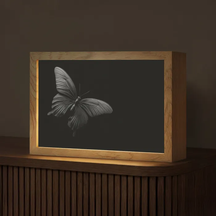 Vlinder - Zwart - Insect - Dieren Light Box met kabel (Tafellamp) klein -z3d_website