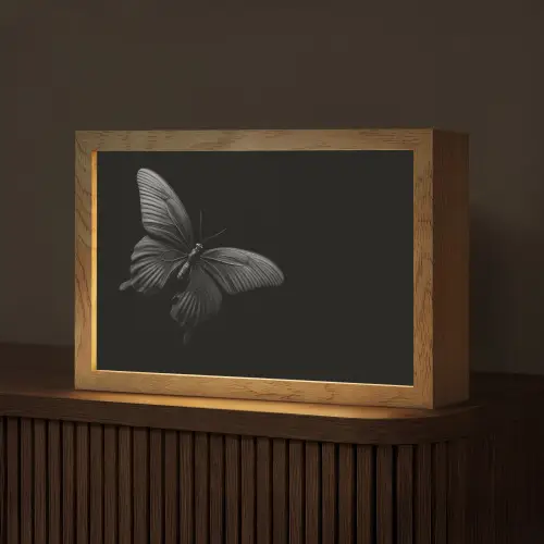 Vlinder - Zwart - Insect - Dieren Light Box met kabel (Tafellamp) klein -z3d_website