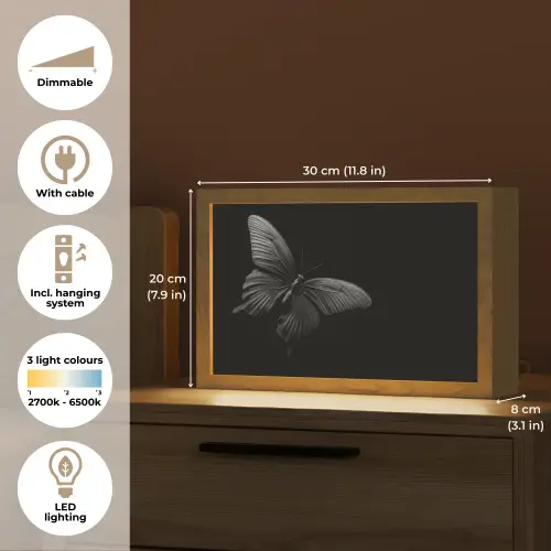 Vlinder - Zwart - Insect - Dieren Light Box met kabel (Tafellamp) klein -USP_EN