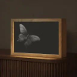Vlinder - Zwart - Insect - Dieren Light Box met kabel (Tafellamp) klein -z3d_website
