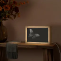 Vlinder - Zwart - Insect - Dieren Light Box met kabel (Tafellamp) klein -sfeer4