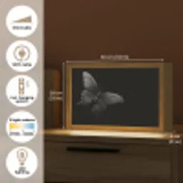 Vlinder - Zwart - Insect - Dieren Light Box met kabel (Tafellamp) klein -USP_EN