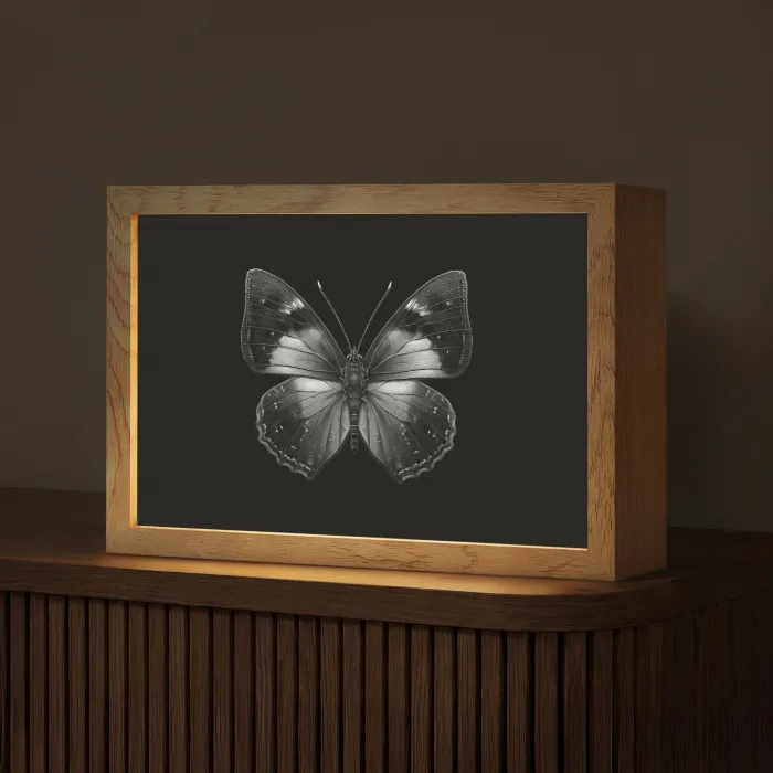 Vlinder - Grijs - Mysterieus Light Box met kabel (Tafellamp) klein -z3d_website