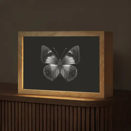 Vlinder - Grijs - Mysterieus Light Box met kabel (Tafellamp) klein -z3d_website