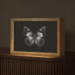 Vlinder - Grijs - Mysterieus Light Box met kabel (Tafellamp) klein -z3d_website