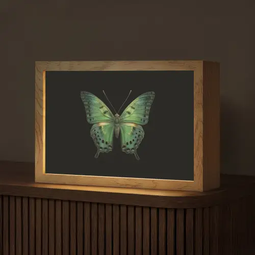 Vlinder - Groen - Diepte Light Box met kabel (Tafellamp) klein -z3d_website