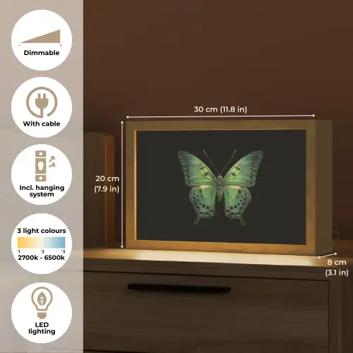 Vlinder - Groen - Diepte Light Box met kabel (Tafellamp) klein -USP_EN