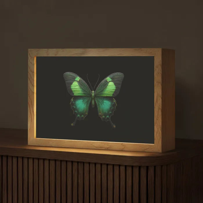 Vlinder - Groen - Opvallend Light Box met kabel (Tafellamp) klein -z3d_website