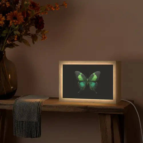 Vlinder - Groen - Opvallend Light Box met kabel (Tafellamp) klein -sfeer4