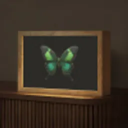 Vlinder - Groen - Opvallend Light Box met kabel (Tafellamp) klein -z3d_website