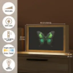 Vlinder - Groen - Opvallend Light Box met kabel (Tafellamp) klein -USP_EN