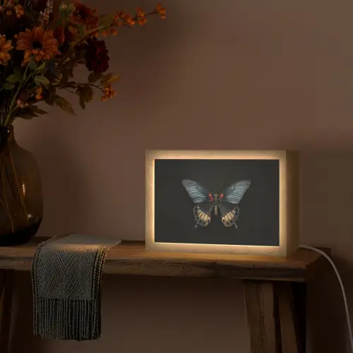 Vlinder - Metaalachtig - Geometrisch patroon Light Box met kabel (Tafellamp) klein -sfeer4
