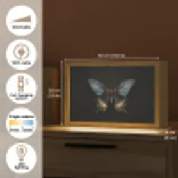Vlinder - Metaalachtig - Geometrisch patroon Light Box met kabel (Tafellamp) klein -USP_EN