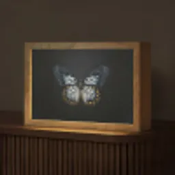 Vlinder - Monochroom - Balans Light Box met kabel (Tafellamp) klein -z3d_website