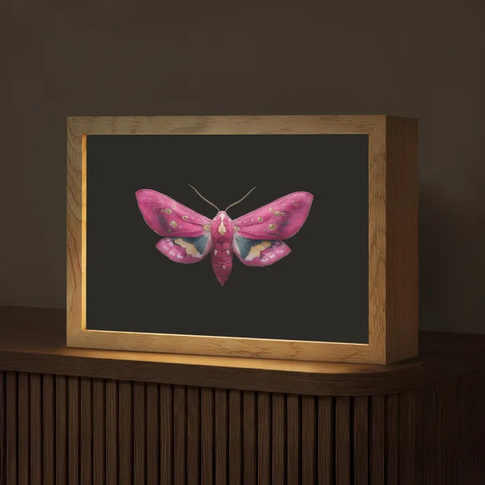 Vlinder - Roze - Nachtvlinder Light Box met kabel (Tafellamp) klein -z3d_website
