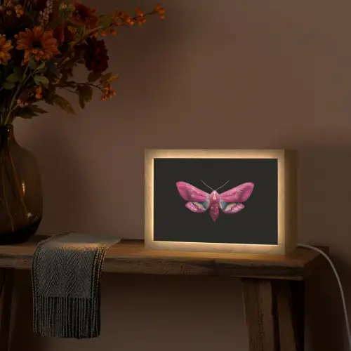 Vlinder - Roze - Nachtvlinder Light Box met kabel (Tafellamp) klein -sfeer4
