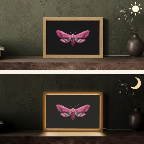 Vlinder - Roze - Nachtvlinder Light Box met kabel (Tafellamp) klein -sfeer3
