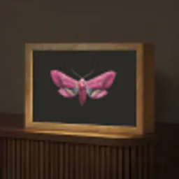 Vlinder - Roze - Nachtvlinder Light Box met kabel (Tafellamp) klein -z3d_website