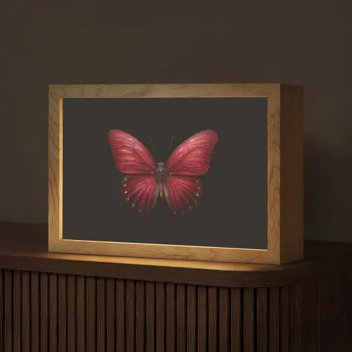 Vlinder - Rood - Minimalistisch Light Box met kabel (Tafellamp) klein -z3d_website