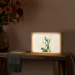 Cactus - Groen - Minimalistisch Light Box met kabel (Tafellamp) klein -sfeer4