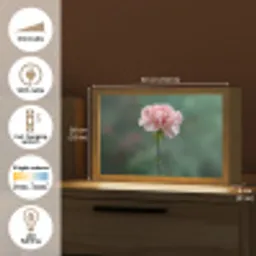 Anjer - Roze - Bloemblaadjes Light Box met kabel (Tafellamp) klein -USP_EN