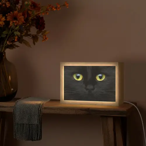 Kat - Zwart - Dieren - Natuur Light Box met kabel (Tafellamp) klein -sfeer4