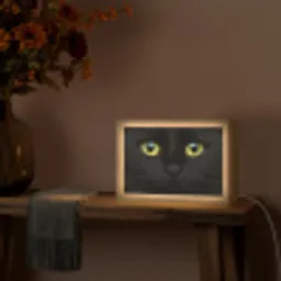 Kat - Zwart - Dieren - Natuur Light Box met kabel (Tafellamp) klein -sfeer4