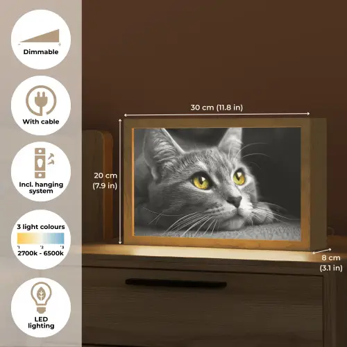 Kat - Zwart - Wit - Dieren - Natuur Light Box met kabel (Tafellamp) klein -USP_EN