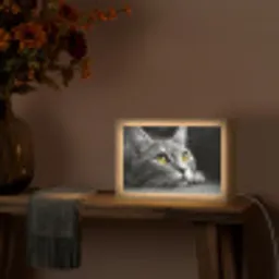 Kat - Zwart - Wit - Dieren - Natuur Light Box met kabel (Tafellamp) klein -sfeer4