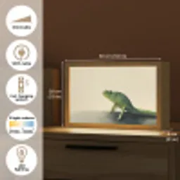 Kameleon - Groen - Minimalistisch Light Box met kabel (Tafellamp) klein -USP_EN