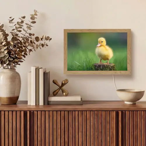 Kuiken - Eend - Geel - Gras Light Box met kabel (Tafellamp) klein -sfeer2
