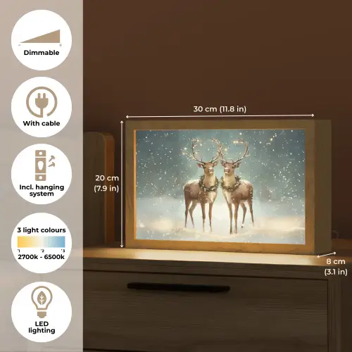 Kerstmagie - Winterwoud - Rendier Light Box met kabel (Tafellamp) klein -USP_EN