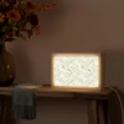 Klassiek - Vogels - Groen Light Box met kabel (Tafellamp) klein 924 -sfeer4