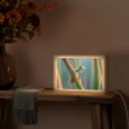 Kleurrijke kikker - Groene stengel - Alert Light Box met kabel (Tafellamp) klein -sfeer4