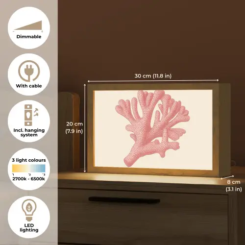 Koraal - Stipjes - Roze Light Box met kabel (Tafellamp) klein -USP_EN