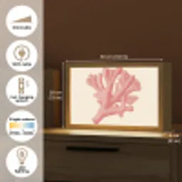 Koraal - Stipjes - Roze Light Box met kabel (Tafellamp) klein -USP_EN