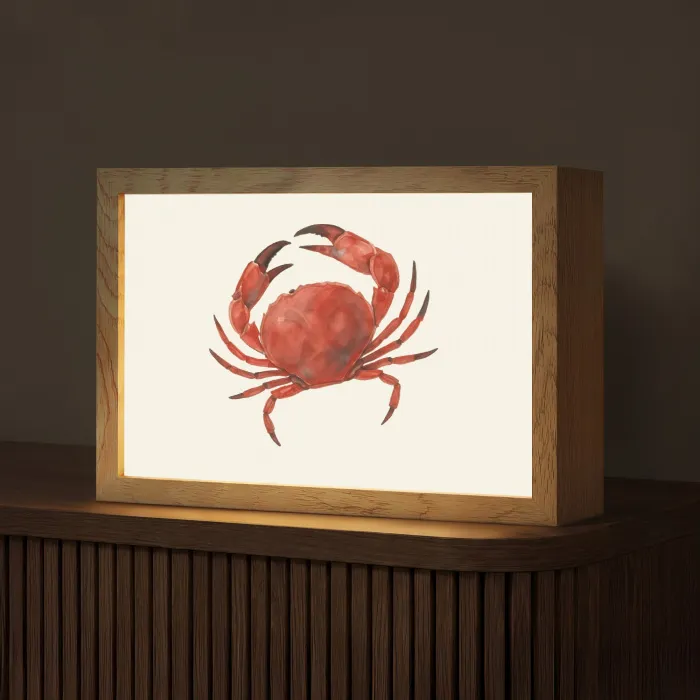 Krab - Felrood - Poten Light Box met kabel (Tafellamp) klein -z3d_website