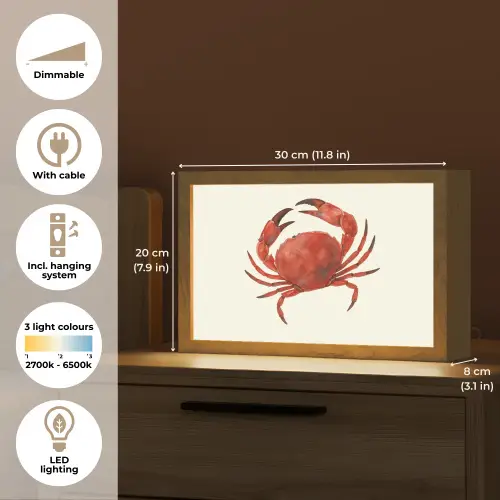 Krab - Felrood - Poten Light Box met kabel (Tafellamp) klein -USP_EN