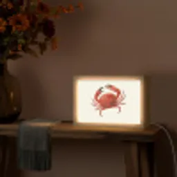 Krab - Felrood - Poten Light Box met kabel (Tafellamp) klein -sfeer4