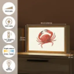 Krab - Felrood - Poten Light Box met kabel (Tafellamp) klein -USP_EN