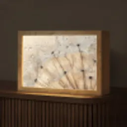 Paardenbloem - Abstract - Natuur - Beige Light Box met kabel (Tafellamp) klein -z3d_website