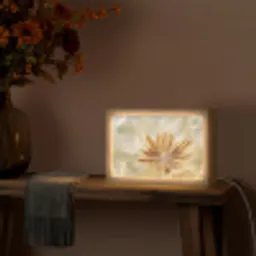 Paardenbloem - Beige - Abstract - Modern - Natuur Light Box met kabel (Tafellamp) klein -sfeer4