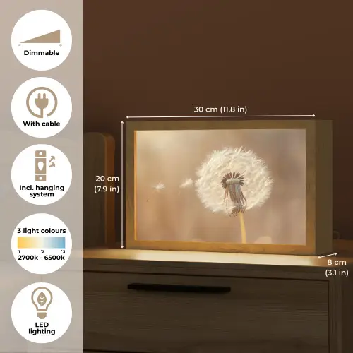 Paardenbloem - Beige - Natuur - Bloem Light Box met kabel (Tafellamp) klein -USP_EN
