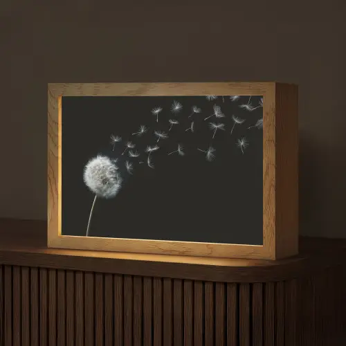 Paardenbloem - Zwart - Natuur Light Box met kabel (Tafellamp) klein -z3d_website
