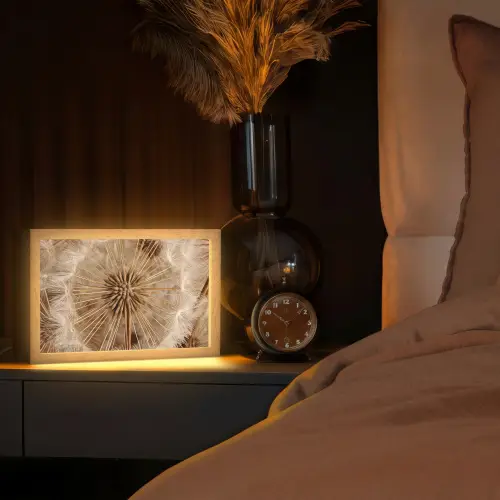 Paardenbloem - Bloemen - Natuur - Bruin Light Box met kabel (Tafellamp) klein -sfeer1