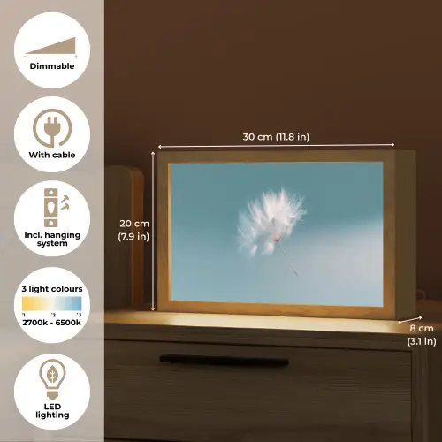 Paardenbloempluisje - Blauw - Lucht Light Box met kabel (Tafellamp) klein -USP_EN
