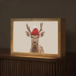 Hert - Kerst - Muts - Dieren - Winter - Grappig Light Box met kabel (Tafellamp) klein -z3d_website