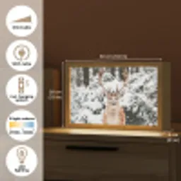 Hert - Sneeuw - Winter - Bos - Dieren Light Box met kabel (Tafellamp) klein -USP_EN
