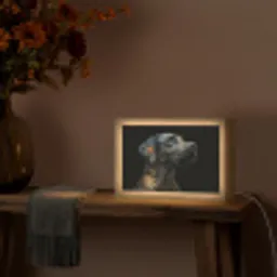 Hond - Zwart - Bloemen Light Box met kabel (Tafellamp) klein -sfeer4