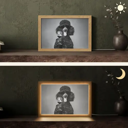 Hond - Krullen - Zonnebril - Wijn Light Box met kabel (Tafellamp) klein -sfeer3
